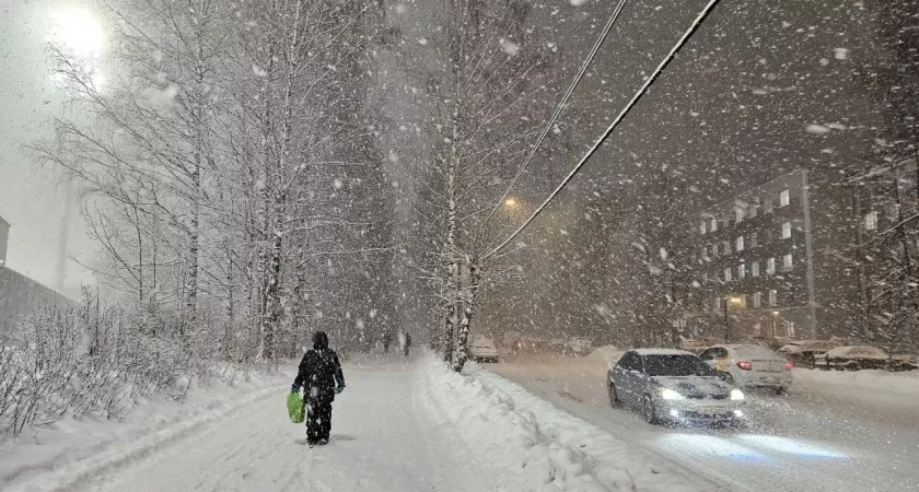 Зимой-2026 начнется климатический ужас: Гидрометцентр сказал, к чему готовиться