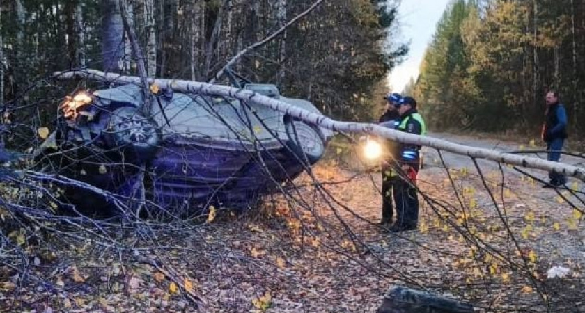  В Свердловской области два человека погибли в перевернувшейся иномарки