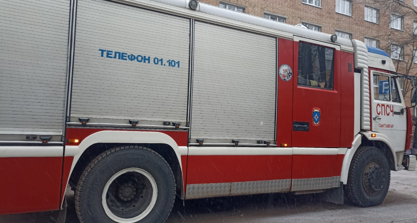 Неисправность сауны привела к пожару в коттедже в столице Свердловской области