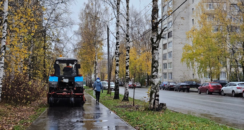 Теперь уже точно осень. Прогноз синоптиков с 8 по 12 октября