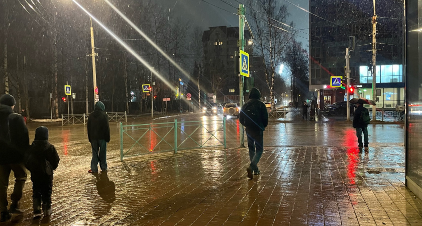 В Свердловской области 24 октября ожидается дождь и мокрый снег