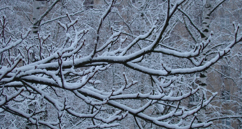 Снежные бураны и морозы: точную дату прихода настоящей зимы раскрыли жителям России