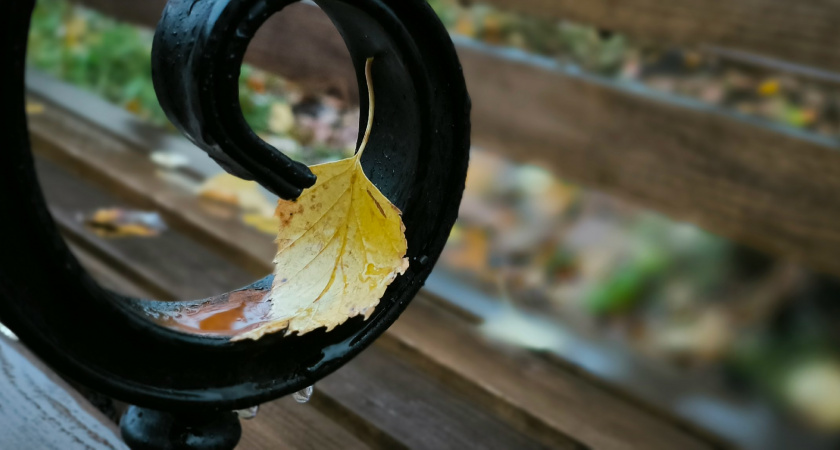 В Свердловской области 29 октября ожидается облачная погода и дожди