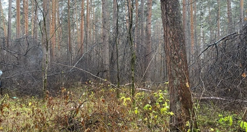 В Екатеринбурге нашли тело женщины без головы