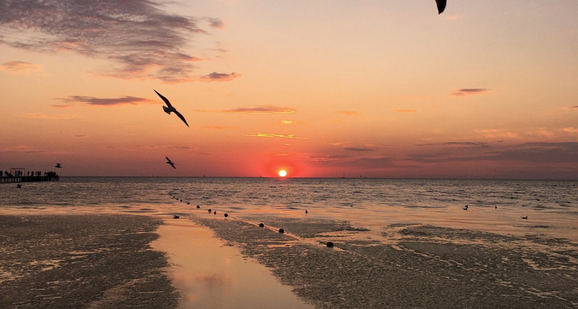 Российские туристы массово меняют Турцию на Мальдивы: причины очевидны