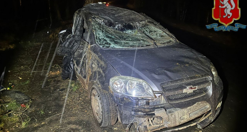 Опасный маневр пьяного водителя без прав стоил жизни 18-летней свердловчанки