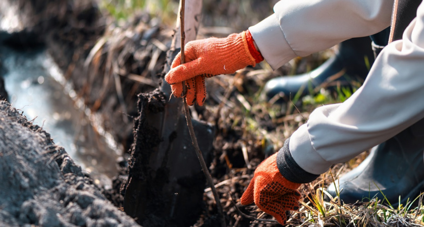 Сода, дрожжи и уксус: как правильно применять народные способы очистки выгребной ямы - подробный гайд