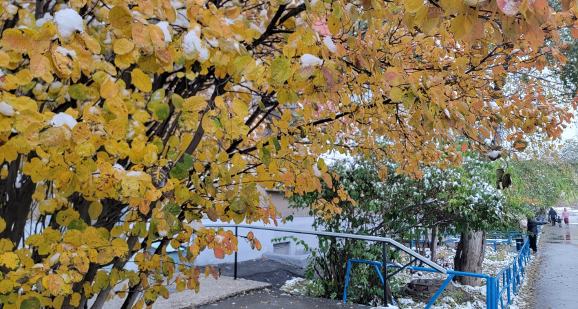 В Свердловской области 7 ноября ожидаются дожди и гололедица