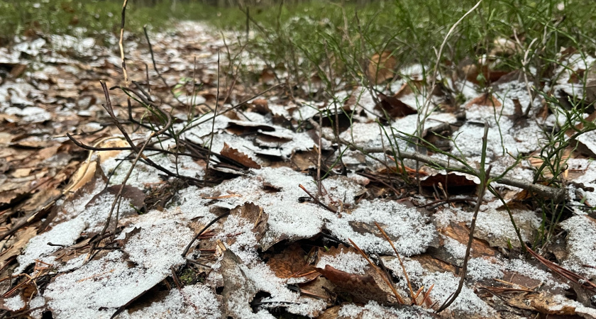 В Свердловской области 12 ноября установятся морозы 