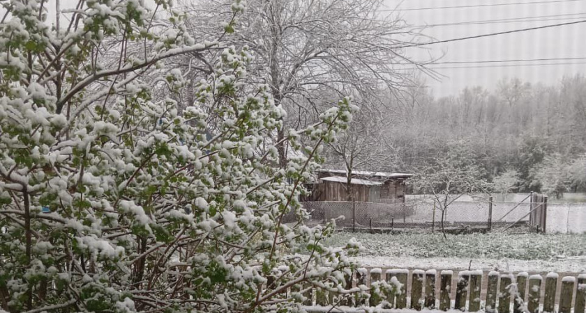 Зима принесёт аномалию, невиданную с XVIII века: что приготовила природа в 2025 году