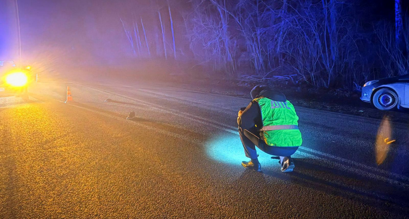В Свердловской области водитель “Киа” сбил пешехода без световозвращателей