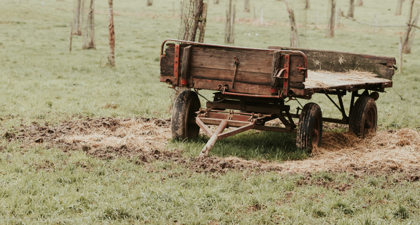 Ошибался с садовым мусором 5 лет, пока не узнал интересный секрет от лесника. Участок стал образцовым без единого штрафа