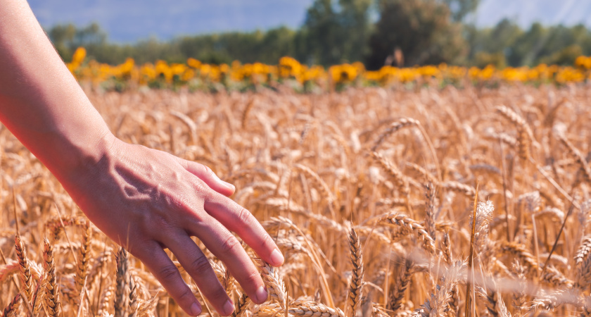 В Ирбитском районе развивают аграрные кадры для всего региона