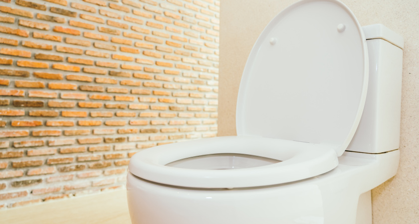 Почему японцы садятся на унитаз лицом вперед: причина удивит