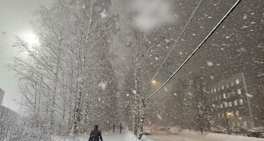 Из-за мокрого снега и ледяного дождя в Свердловской области нарушено авиасообщение