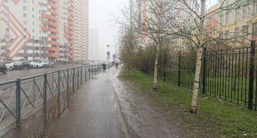 Новый прогноз от главного синоптика страны Романа Вильфанда: жителей Центральной России на этой неделе ожидает аномальное тепло