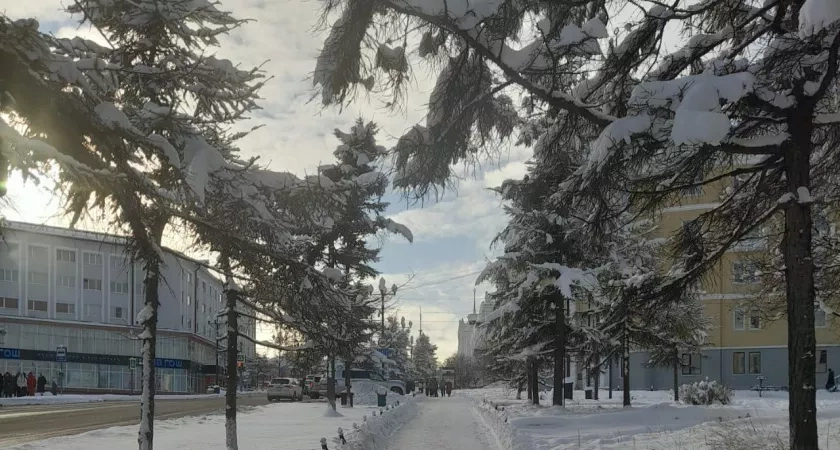 Самая холодная зима за 2,5 века: метеорологи предупредили об аномальных морозах до –40 и снежных бурях