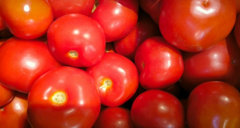 В Свердловской области огурцы и помидоры снова прибавили в цене