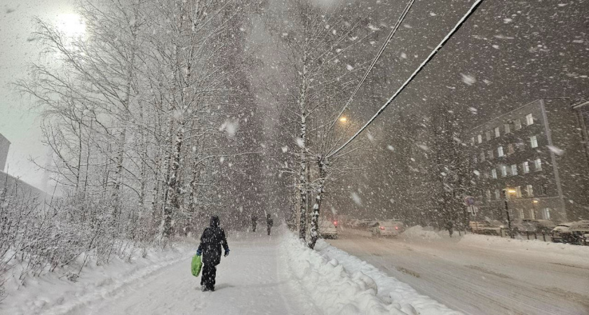 Зимой будет то, чего не происходило с 1645 года. Синоптики сказали, к чему готовиться