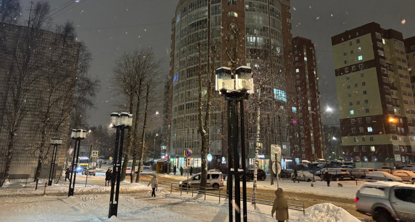 «Начнется с 5 декабря и будет 20 дней подряд». Синоптики сказали, что будет с погодой