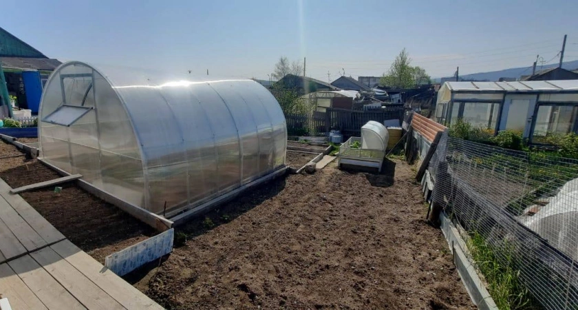 Откажусь в 2026 году от 7 бесполезных работ в саду. Берегу время и силы для важных дел