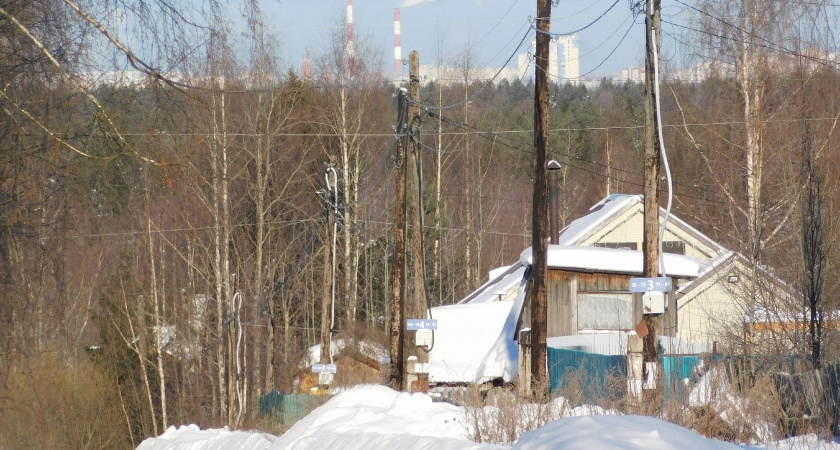 Китайцы кидают порошок прямо на снег: три дешёвых ингредиента, которые спасают сад от бед весной - тоже так делаю