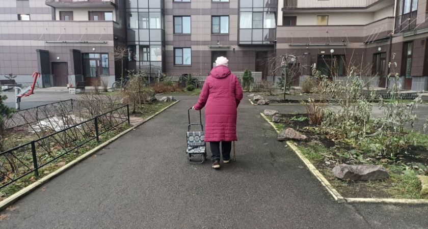 «Всем, кто старше 56 лет». Пенсионеров призвали оформить новую льготу с 8 декабря