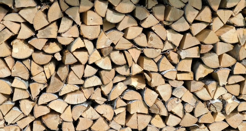 Контрабандист из Екатеринбурга вывез за границу партию леса на 6 миллионов рублей