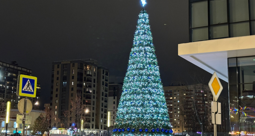 Жители Свердловской области начали исполнять новогодние мечты детей