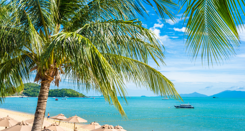 Забудьте про домашнее оливье: вот где реально стоит встретить Новый год 2026 - с пингвинами, слонами и в "гнезде Тигрицы"