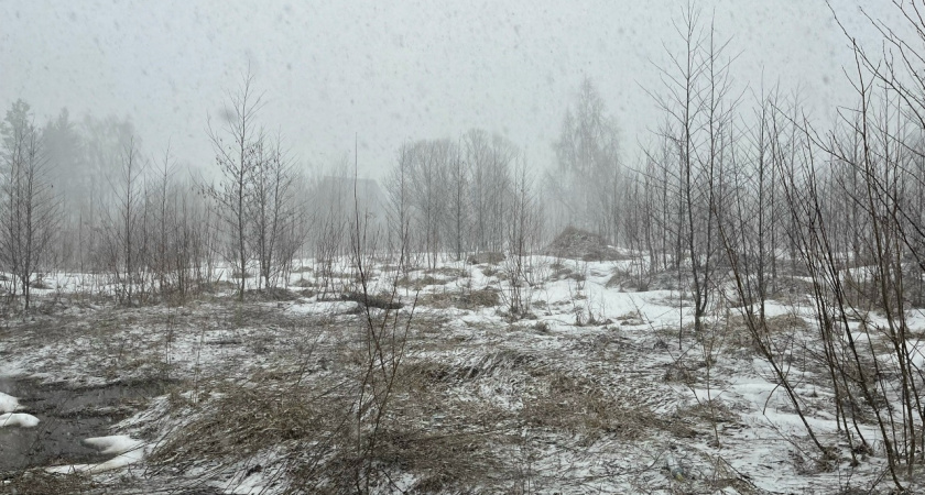 МЧС объявило штормовое предупреждение из-за морозов до -31 градуса и метели в Свердловской области