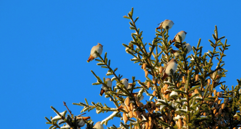 В Свердловской области 10 декабря будет морозно и скользко