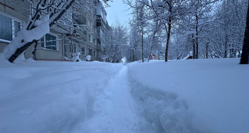 Самая теплая зима в истории: Роман Вильфанд рассказал о погодном сюрпризе 2025