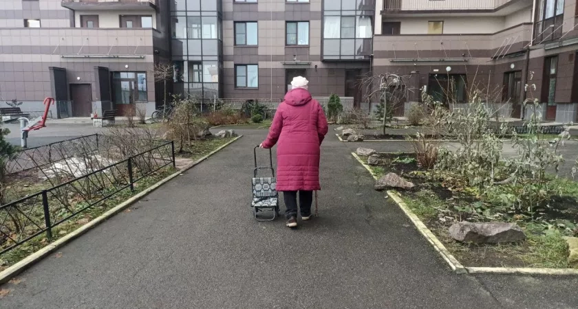 Пенсии в России: как стаж влияет на выплаты и что необходимо знать