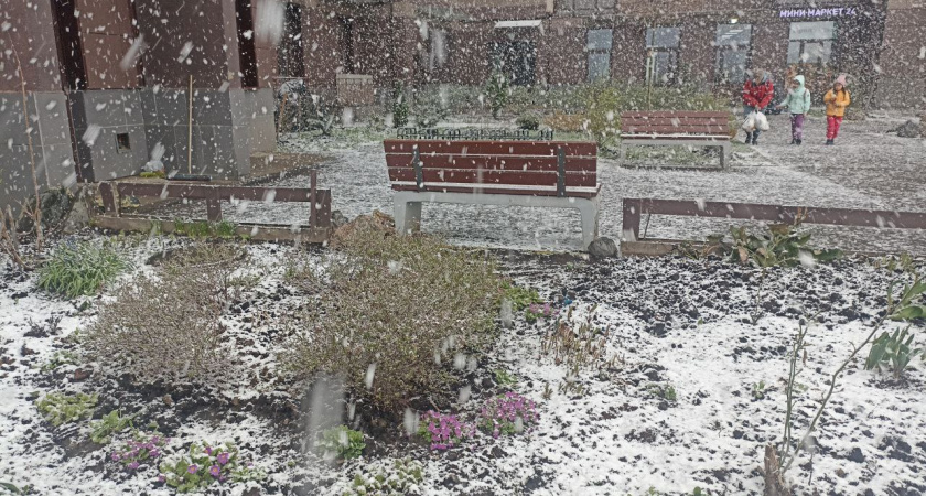 «С середины декабря начнется то, чего не было 250 лет». Синоптики объявили, к чему готовиться