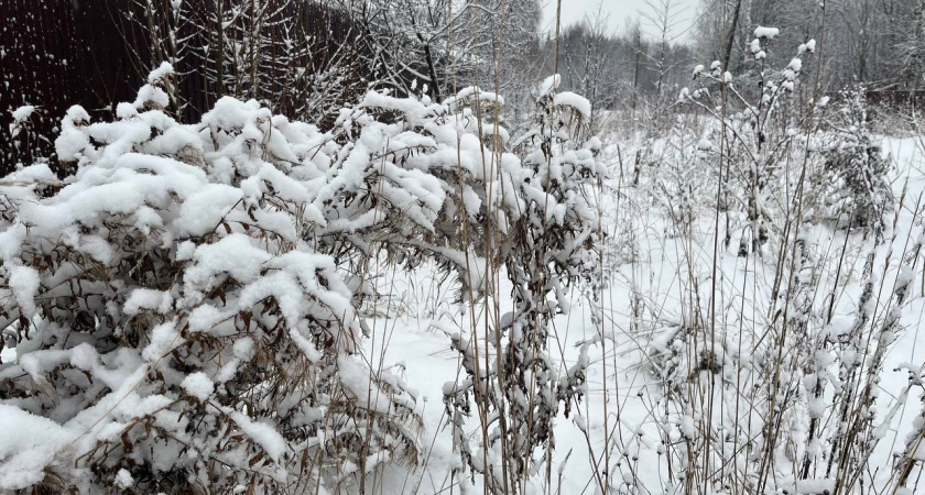 В Свердловской области 16 декабря ожидается снег и мороз