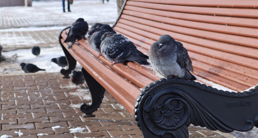 Морозный антициклон принесет в Свердловскую область холода 17 декабря