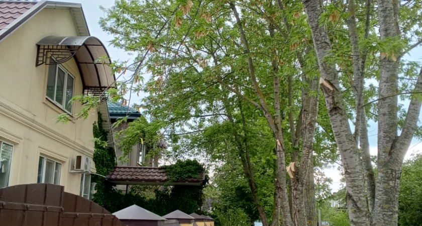 Почему в одних домах хочется остаться, а из других — скорее уйти: 9 деталей, которые меняют атмосферу