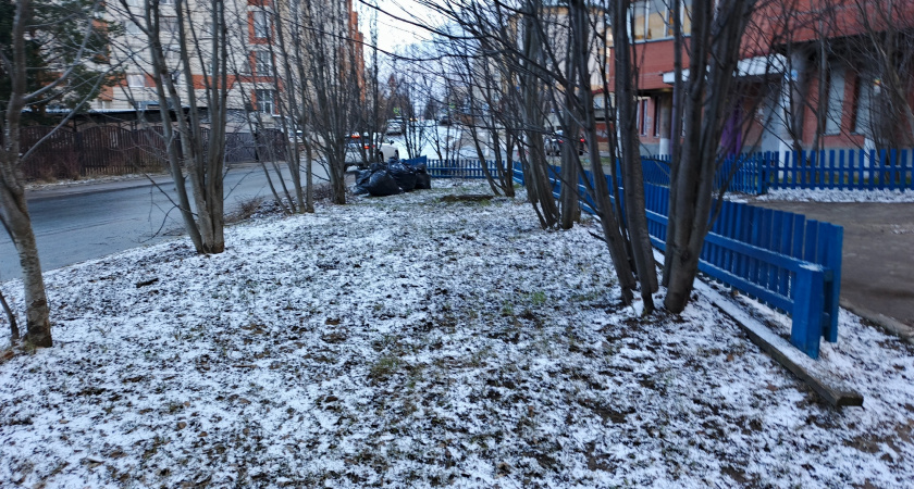 Синоптики ухудшили прогноз погоды на январь и февраль: к чему нужно готовиться