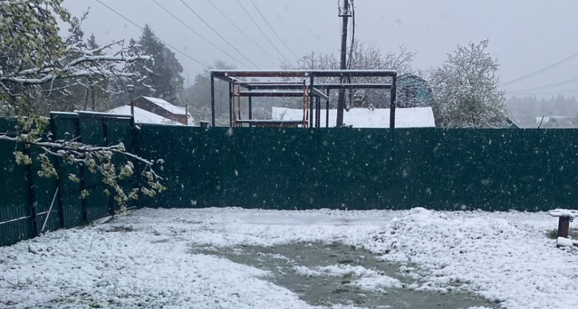 Году начало - зиме середина. Долгосрочный прогноз погоды в России на январь 2026 г.