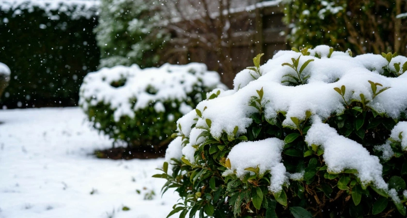 Зима-сюрприз: какую погоду ожидать россиянам в зимние месяцы 2025-2026