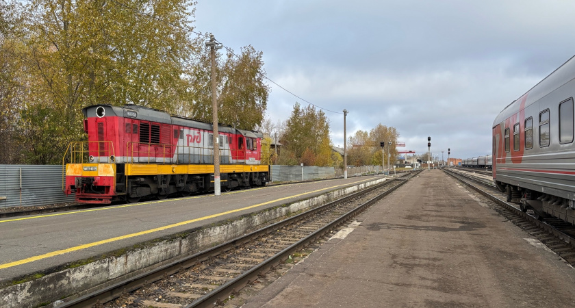 Места в поезде: почему боковое место у туалета может быть лучше купе