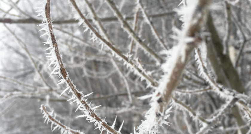 В Свердловской области зафиксировали самый сильный мороз с 1978 года
