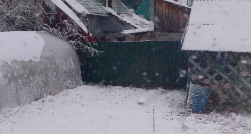 Небывалые морозы: Новый год принесет такие лютые холода, что лучше не выходить из своего дома