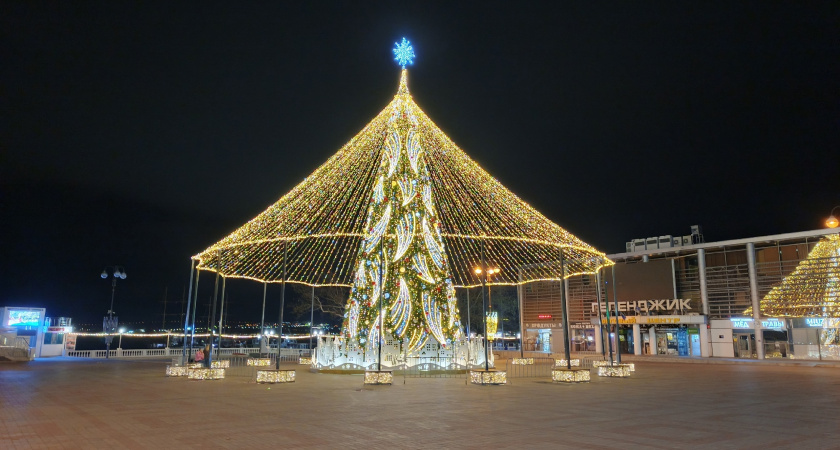 Елочные клещи: правда и мифы о паукообразных в новогодних ветках