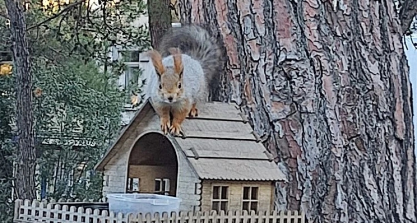 Не делай добра и никому не давай денег в долг: почему нужно всегда остерегаться тех, кому помогаете - мудрые слова