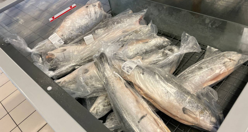 В Светофор завезли австралийский лосось: как только приготовил на ужин, сразу увидел - что не так с этим красным "мясом"