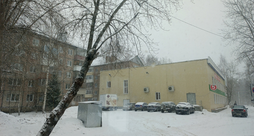 Году начало - зиме середина. Долгосрочный прогноз погоды от синоптиков на январь 2026 г.