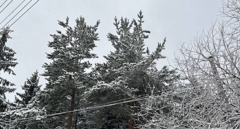 В Свердловской области 1 января ожидаются снег и температурные перепады