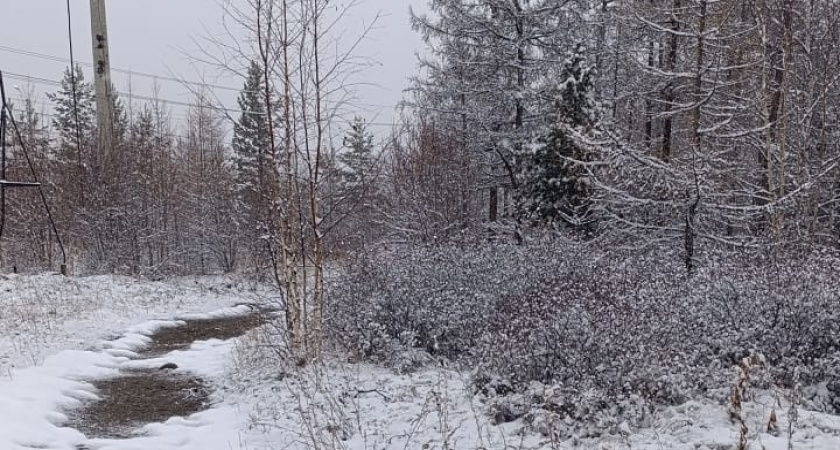 «С 3 января начнется то, чего не было с 1779 года». Синоптики сказали, что это будет